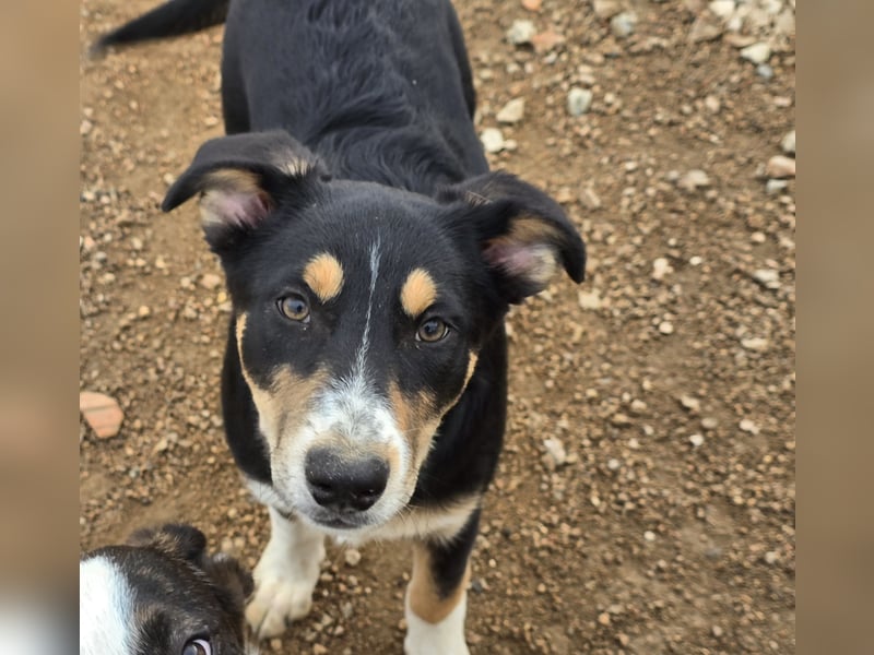 Betty: Eine für Alle