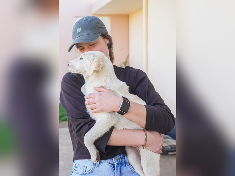 Lillith sucht ein Zuhause