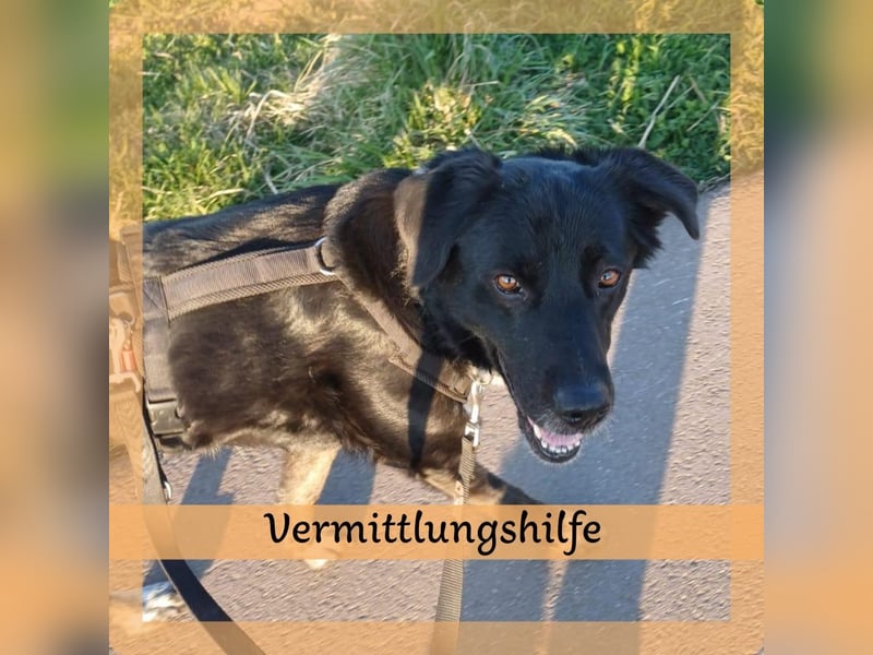 Einzelprinzessin sucht Schloss ❤️