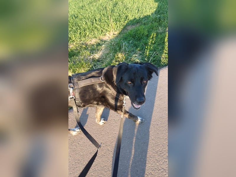 Einzelprinzessin sucht Schloss ❤️