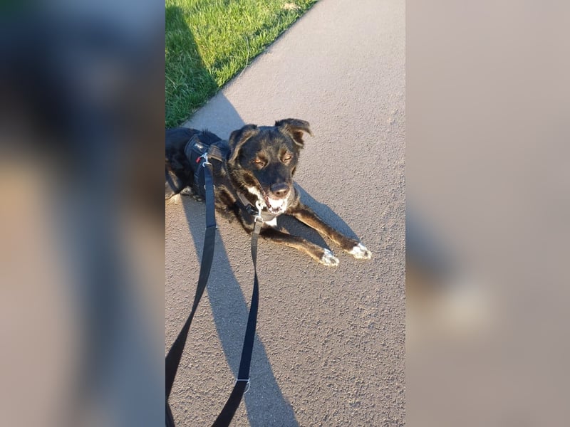 Einzelprinzessin sucht Schloss ❤️