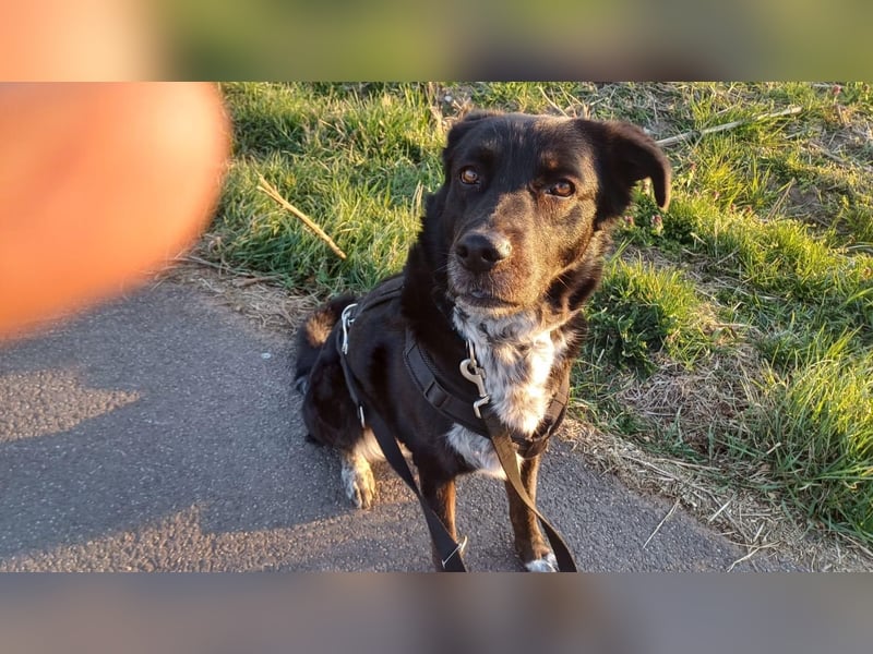 Einzelprinzessin sucht Schloss ❤️