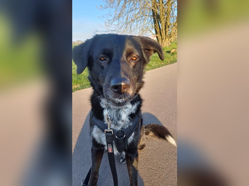 Einzelprinzessin sucht Schloss ❤️