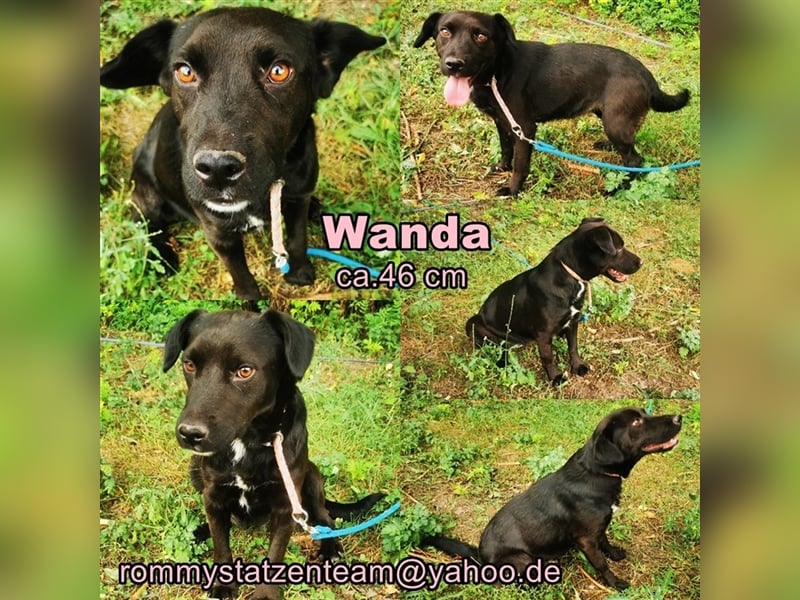 Wandas bisheriges Leben war schwer