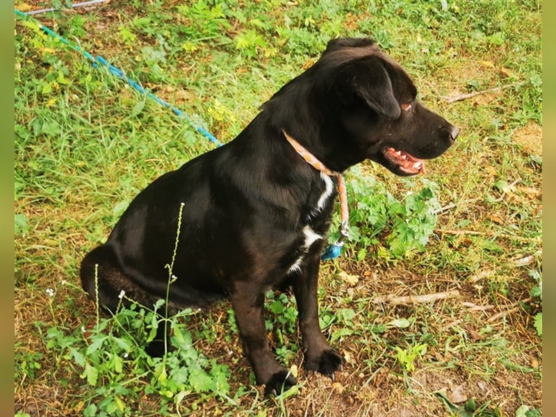 Wandas bisheriges Leben war schwer