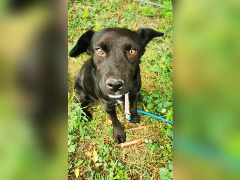 Wandas bisheriges Leben war schwer