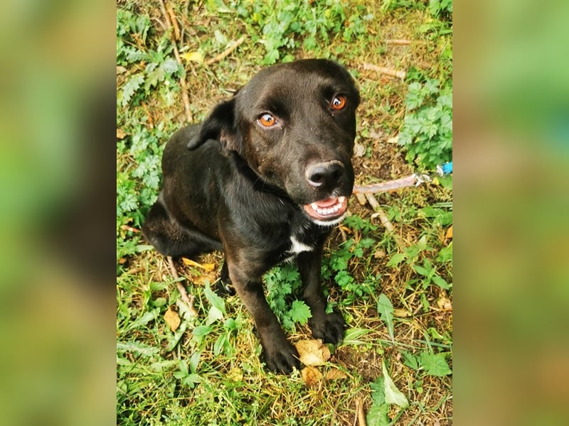 Wandas bisheriges Leben war schwer