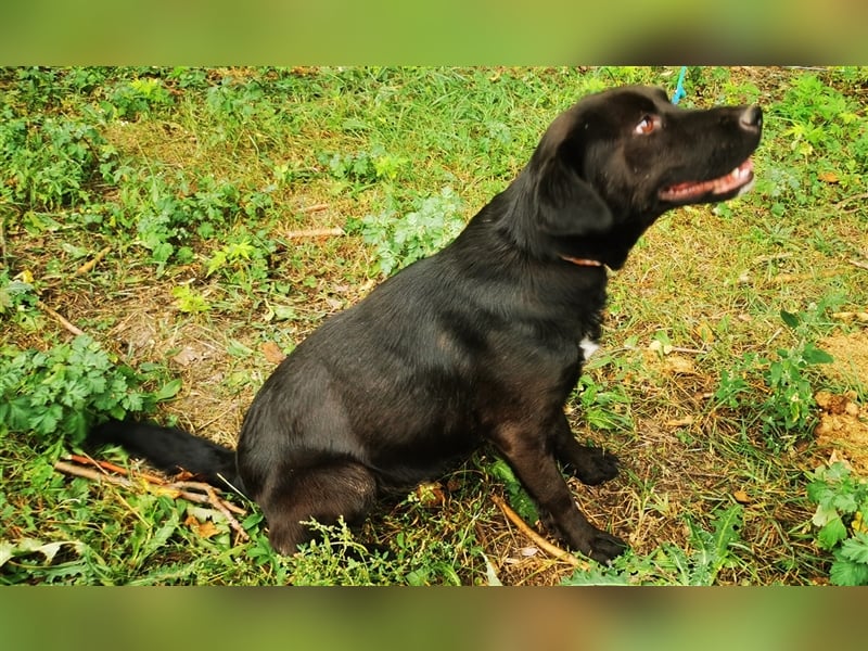 Wandas bisheriges Leben war schwer