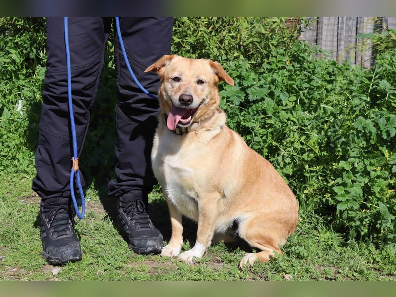 Farrusca ❣️ sehr sanft und super lieb ❣️