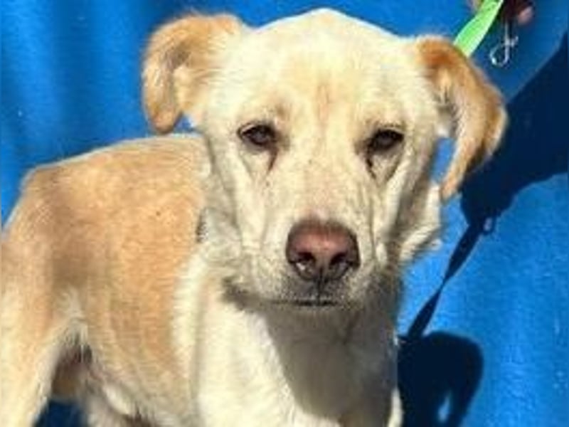 EDU der liebenswerte Bub