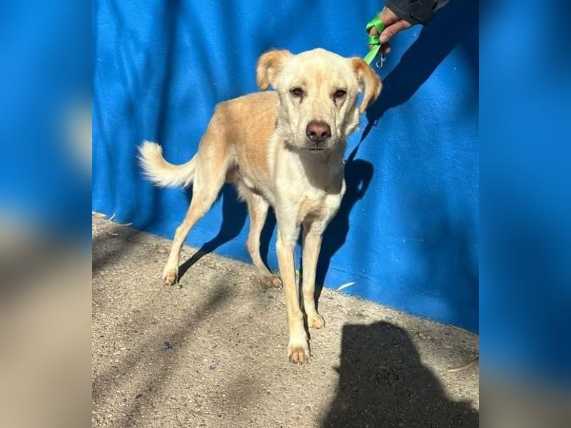 EDU der liebenswerte Bub