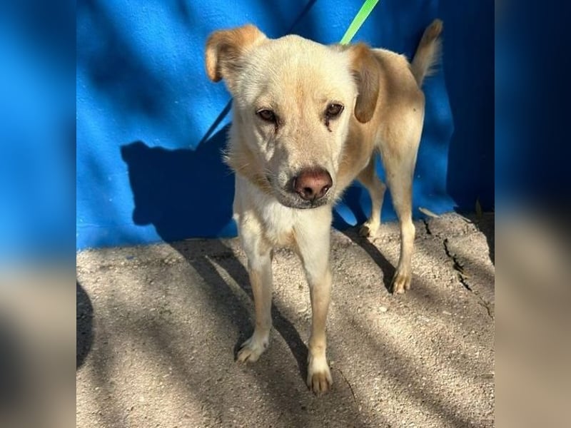 EDU der liebenswerte Bub