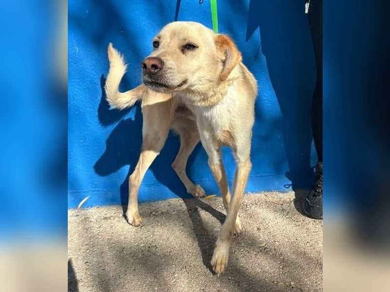 EDU der liebenswerte Bub