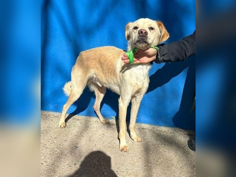 EDU der liebenswerte Bub