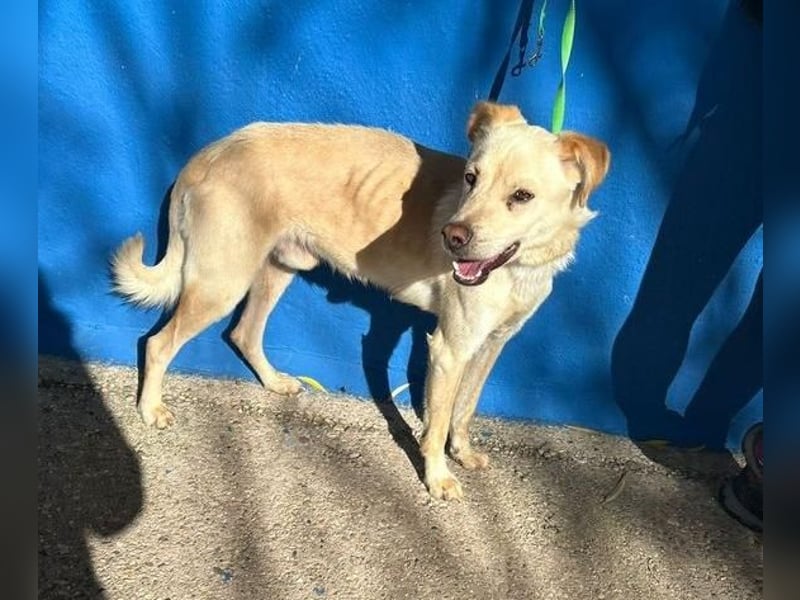 EDU der liebenswerte Bub