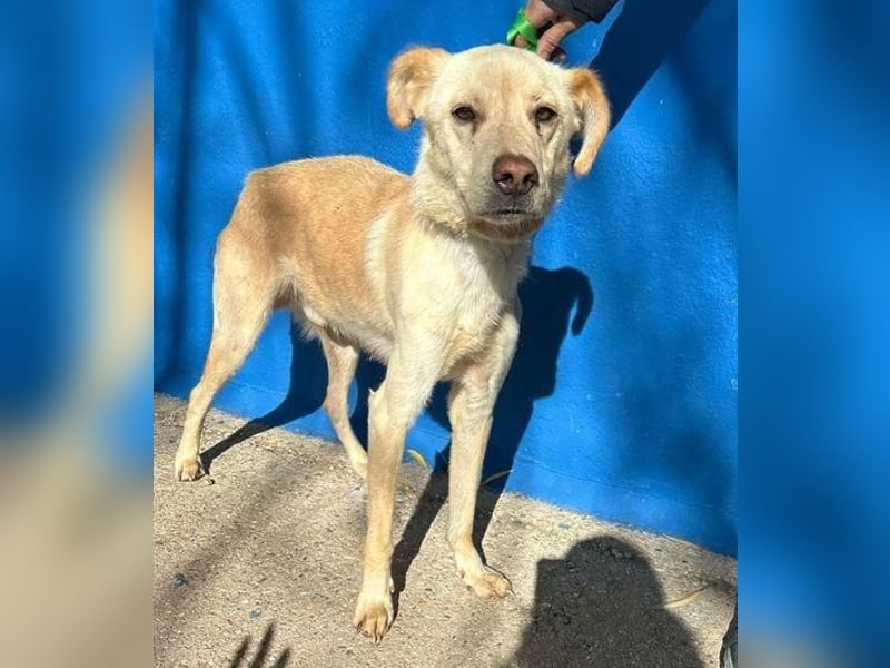 EDU der liebenswerte Bub