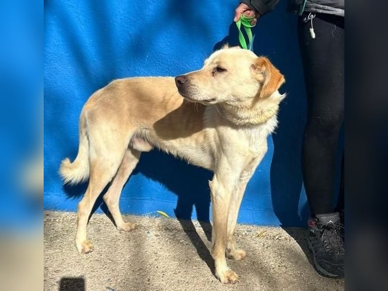 EDU der liebenswerte Bub