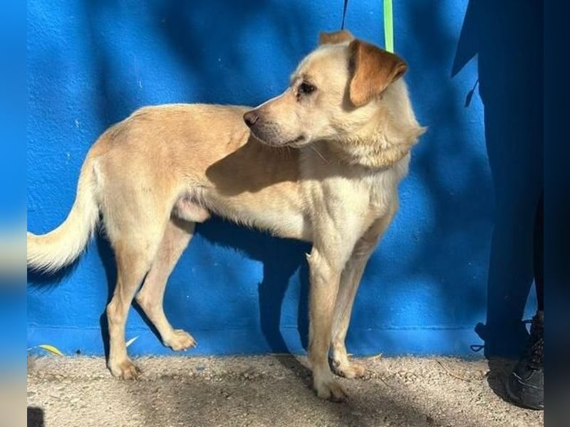 EDU der liebenswerte Bub