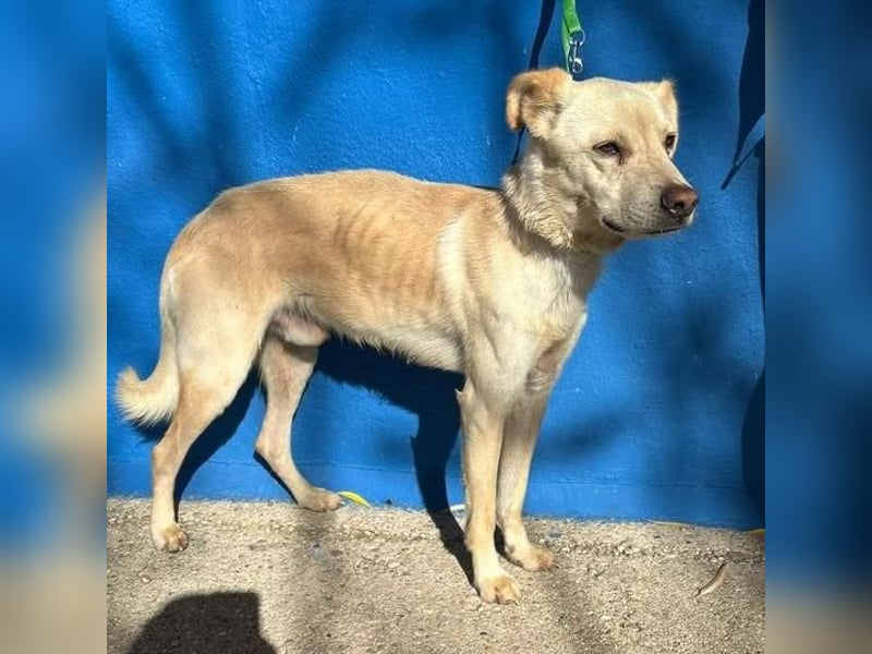 EDU der liebenswerte Bub