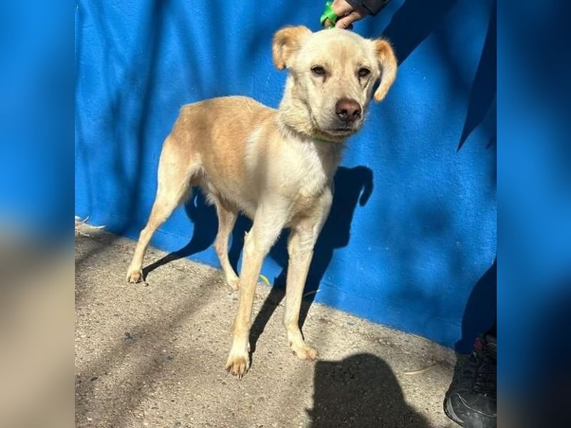 EDU der liebenswerte Bub