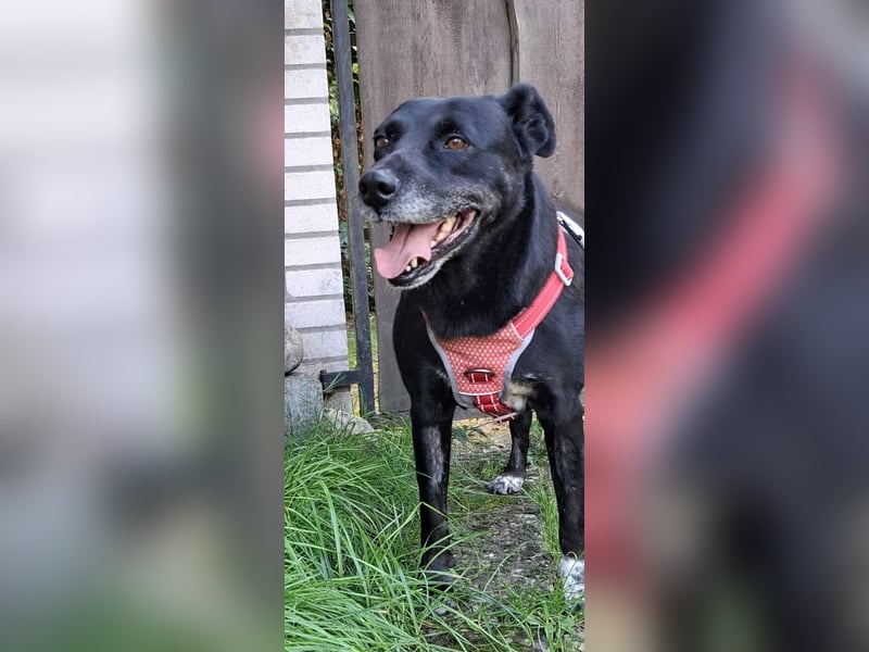Blacky freut sich auf Deinen Besuch
