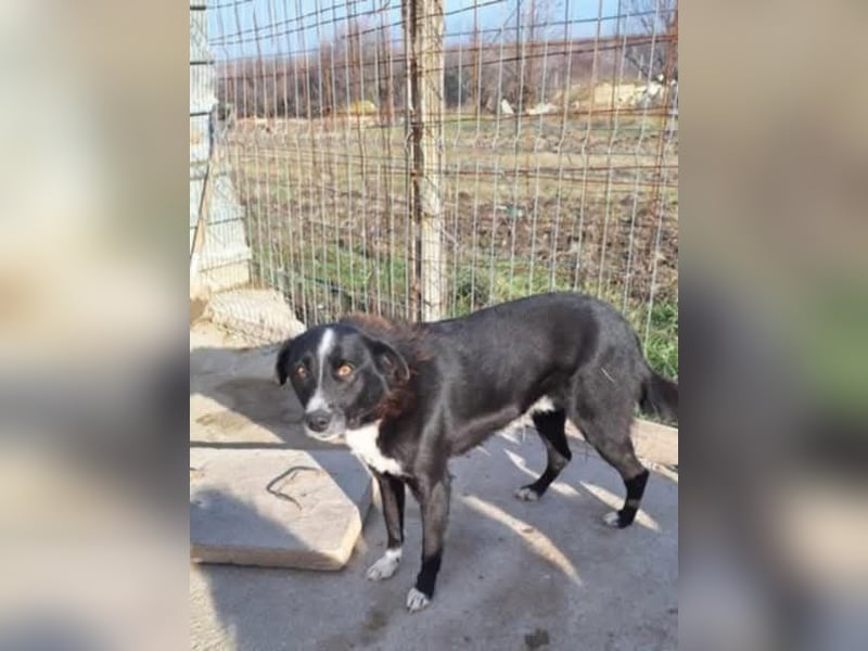 Bibi wartet schon so lange