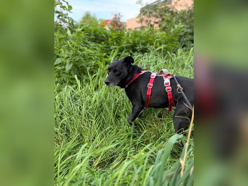Blacky freut sich auf Deinen Besuch