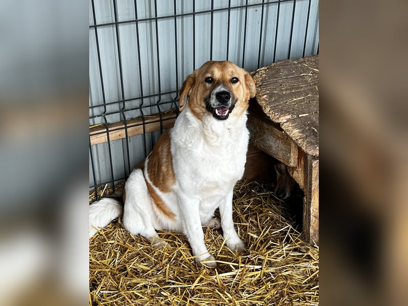 Omi Lydia wünscht sich ein Zuhause