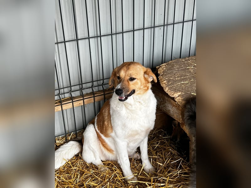 Omi Lydia wünscht sich ein Zuhause