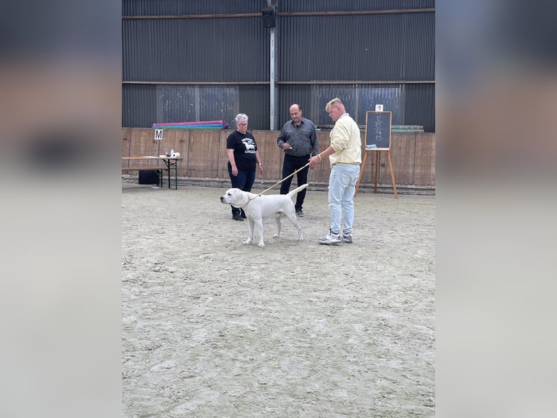  White Fury vom Rabeneck 
