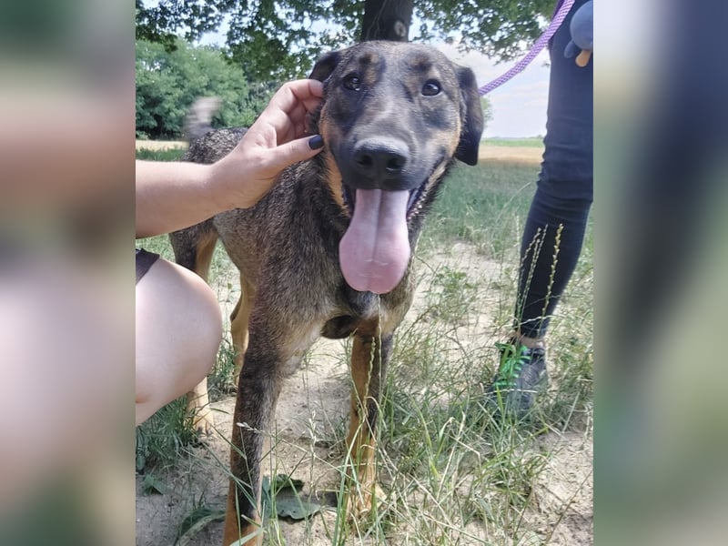 Ronnie ein braucht Halt