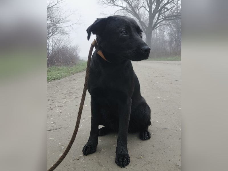 Nyra eine sanfte Seele