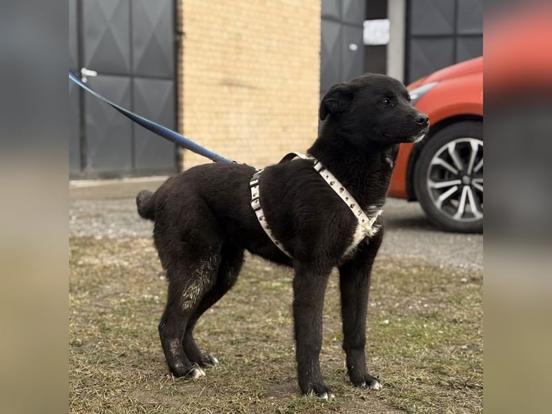 Enya eine wundervolle Seele