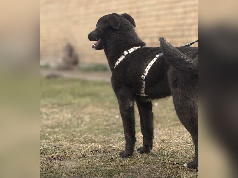 Enya eine wundervolle Seele