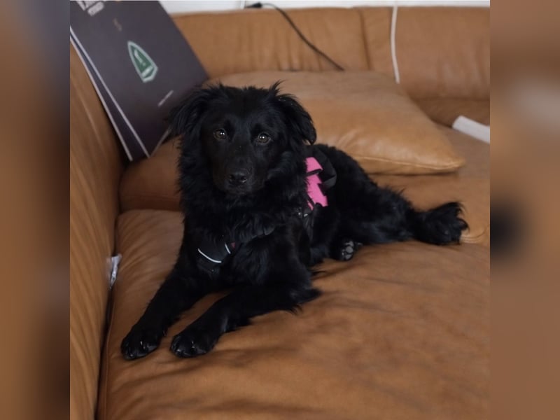 Enya eine wundervolle Seele