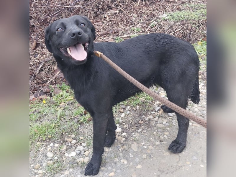 Nyra eine sanfte Seele