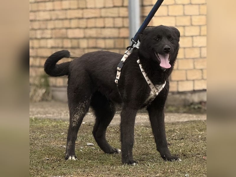 Enya eine wundervolle Seele