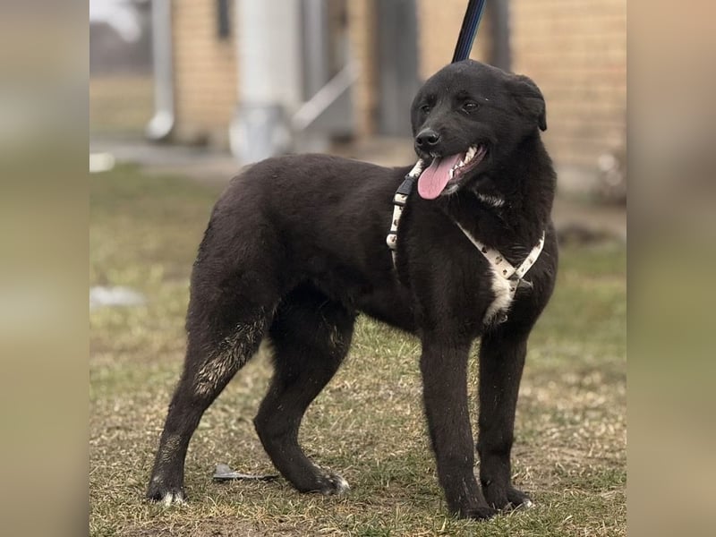 Enya eine wundervolle Seele