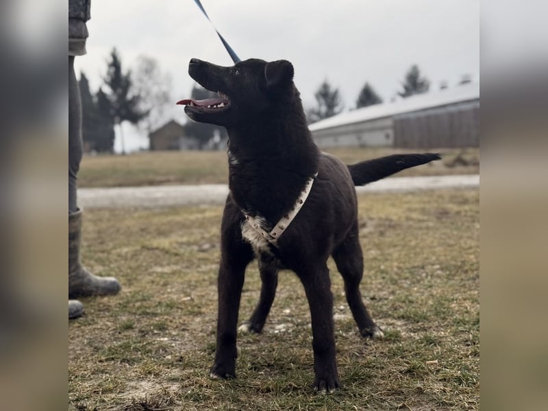 Enya eine wundervolle Seele