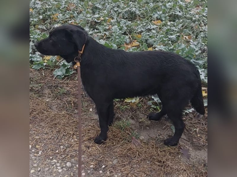 Nyra eine sanfte Seele