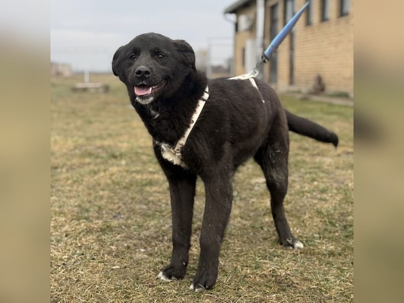 Enya eine wundervolle Seele