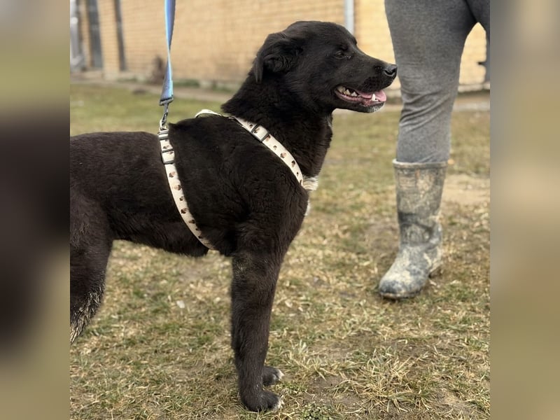 Enya eine wundervolle Seele