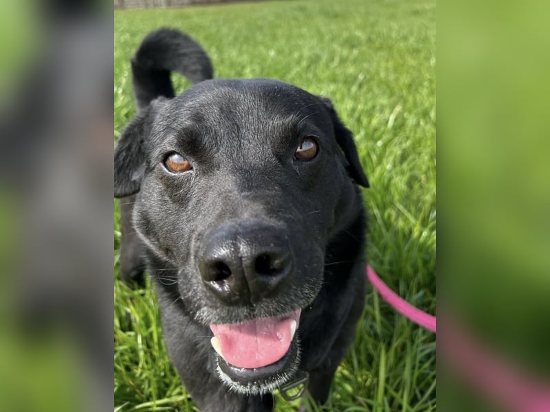 John - sehnt dich nach Liebe