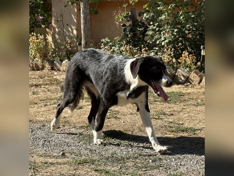 Stella ein unsicheres Mädchen