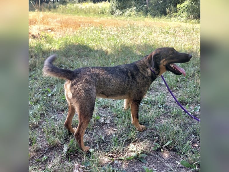 Ronnie ein braucht Halt