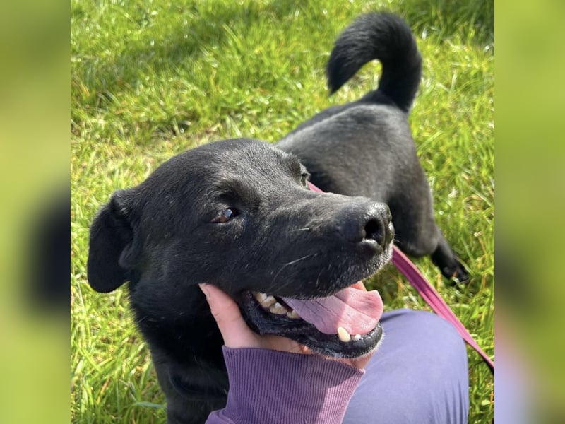 John - sehnt dich nach Liebe