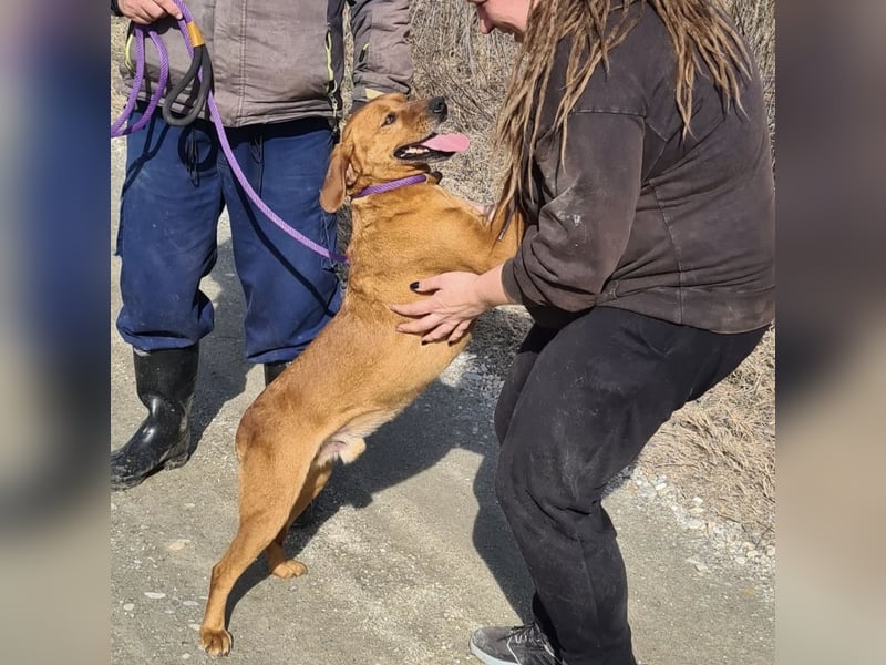 Chiko ein Menschen liebender