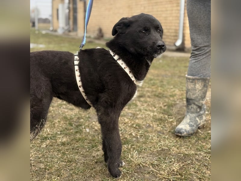 Enya eine wundervolle Seele