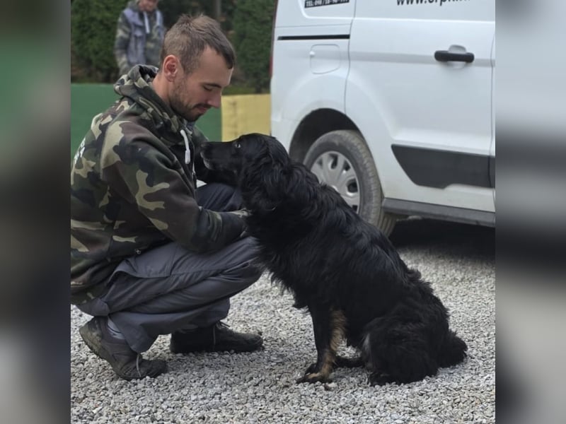 Iris eine wundervolle ruhige Hündin