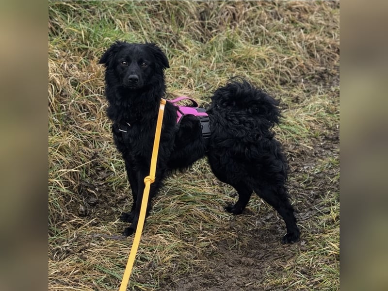 Enya eine wundervolle Seele